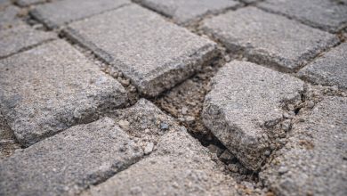 Iria antidraseis gia tin plakostrwsi stin paraliaki zwni erwtimata gia poiotita kai asediasmo