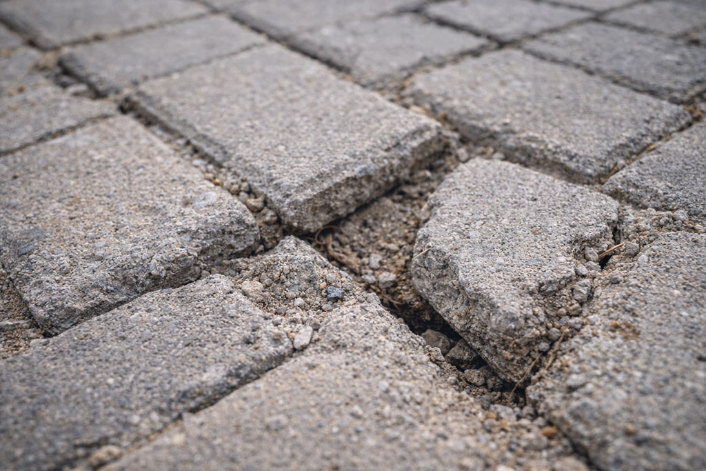 Iria antidraseis gia tin plakostrwsi stin paraliaki zwni erwtimata gia poiotita kai asediasmo