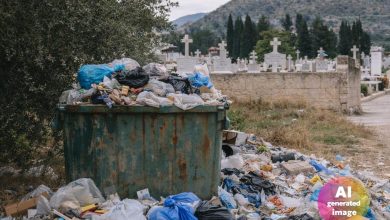 Skoupidia koimitirio